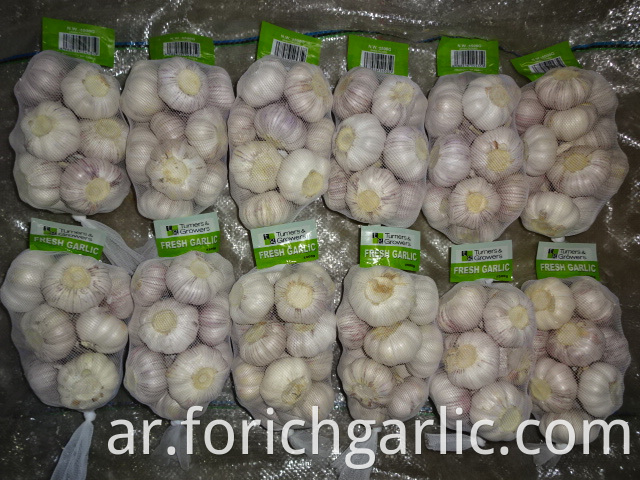 Normal White Garlic Of Fresh 2019